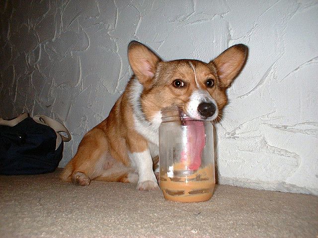 http://cdn.iwastesomuchtime.com/7152012180924JBfO8.jpg