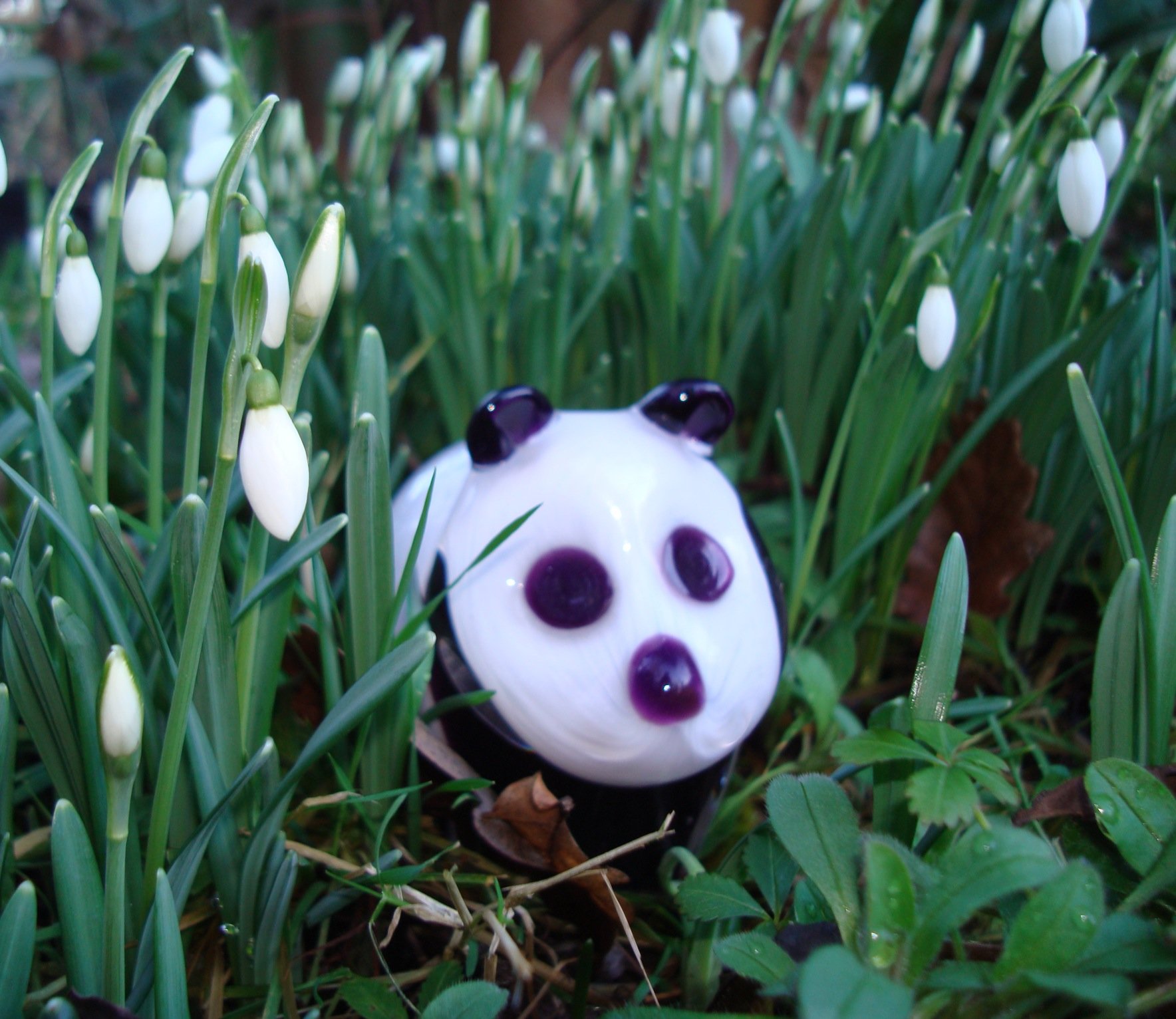 4thPanda
