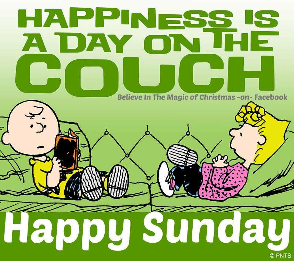 Happy Sunday Charlie Brown  Snoopy love Charlie brown characters Charlie  brown and snoopy