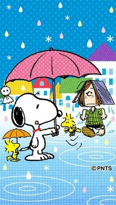 59 SnoopyPeanuts Rain ideas  snoopy snoopy love snoopy