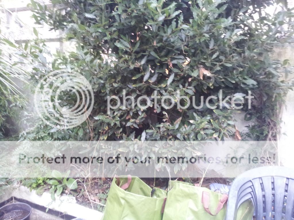 http://i423.photobucket.com/albums/pp315/skaboy607/IMG_20130224_161316_zps73e83ec5.jpg