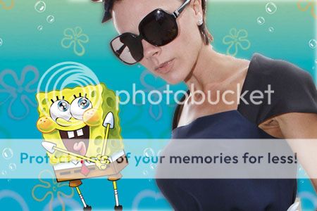 http://i1143.photobucket.com/albums/n627/thedogcody/03-04-09-image-2-802846144.jpg
