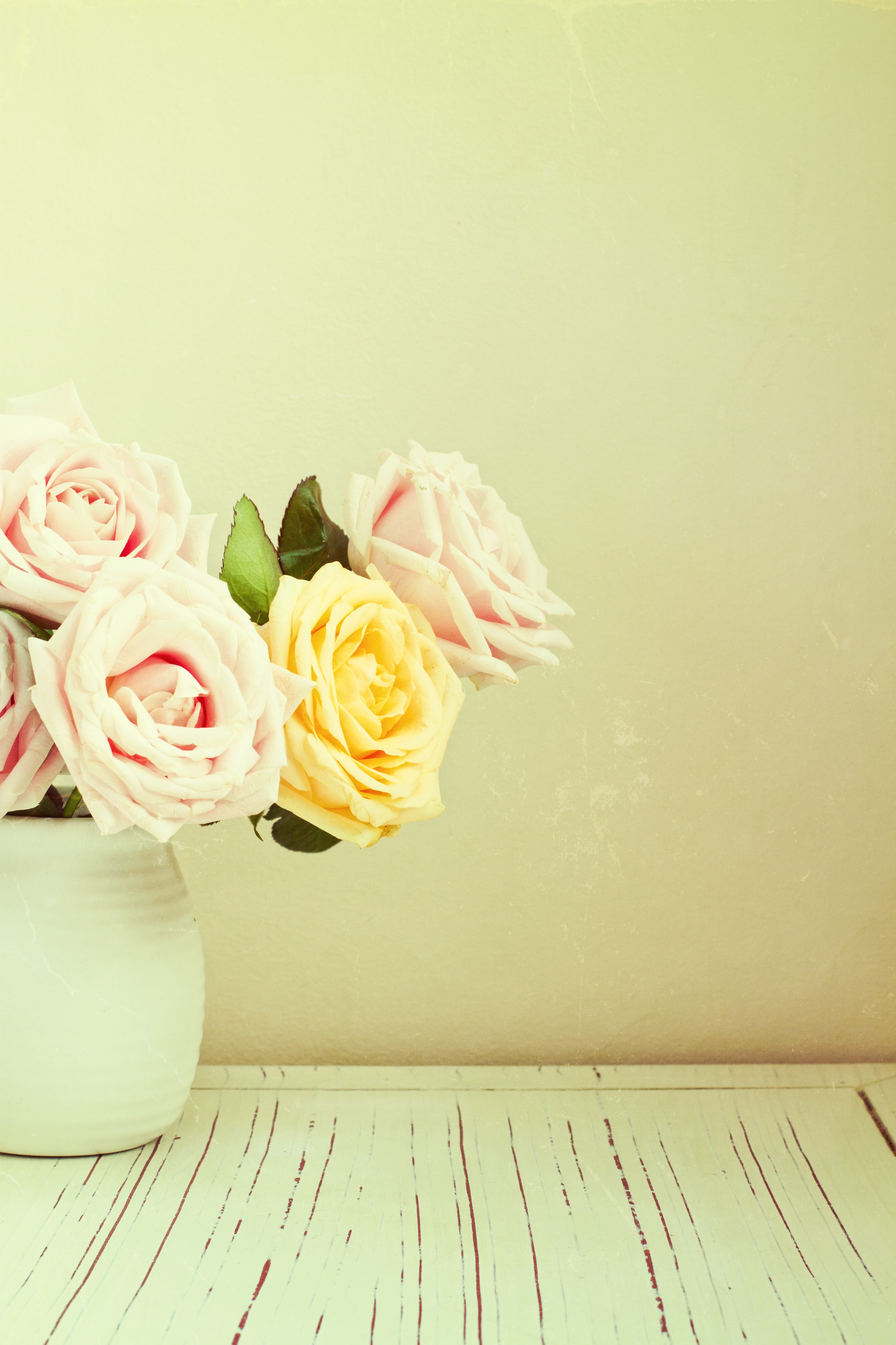 Constant Gardener