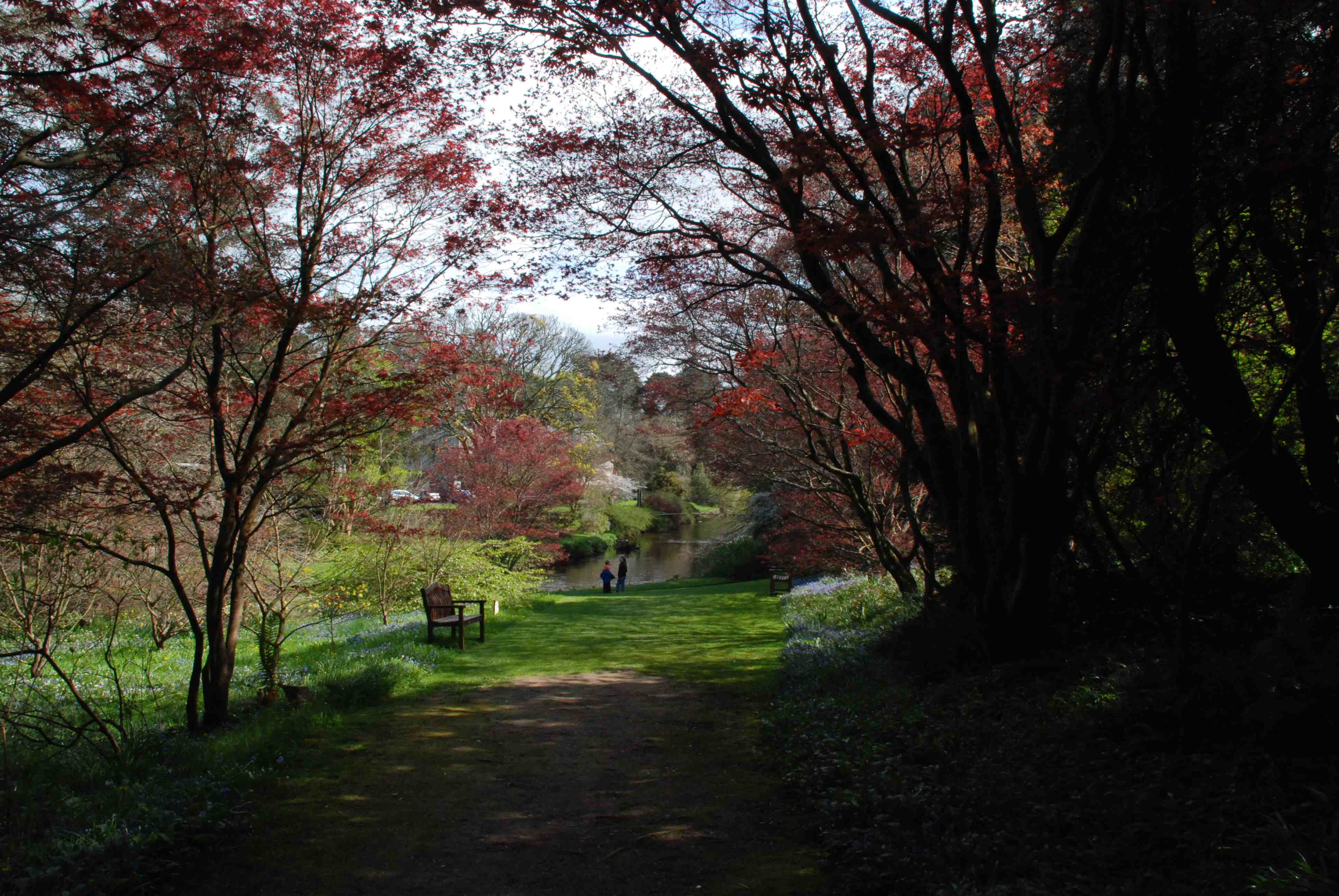 http://thebikinggardener.files.wordpress.com/2014/04/mount-usher-14-2.jpg