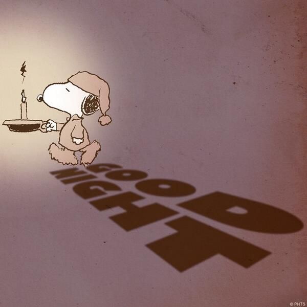 Good night snoopy goodnight goodnight quotes  Snoopy Charlie brown and  snoopy Peanuts snoopy