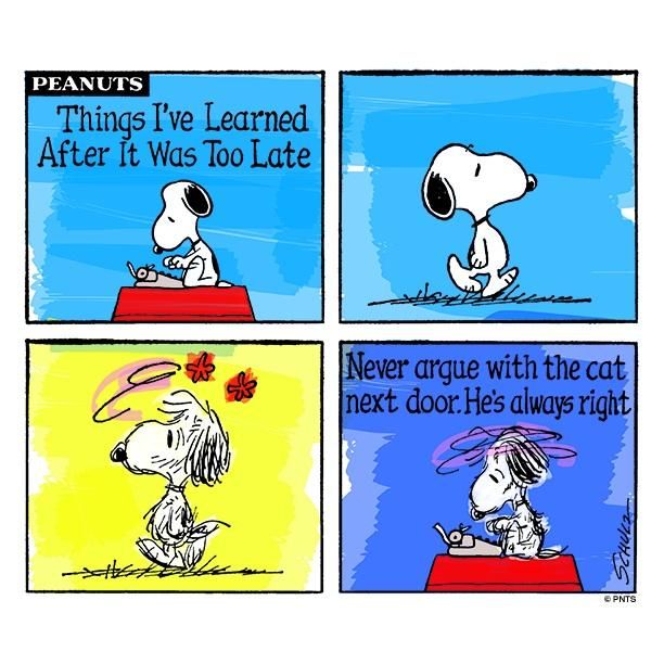 Twitter  Snoopy A lesson from Snoopy   Snoopy comics Snoopy funny  Snoopy quotes