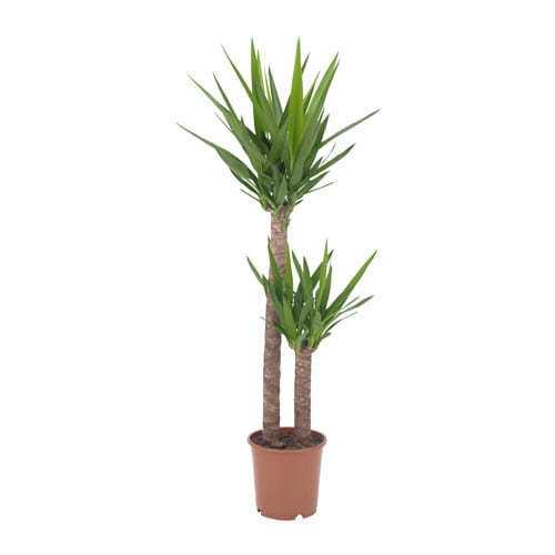 Related image