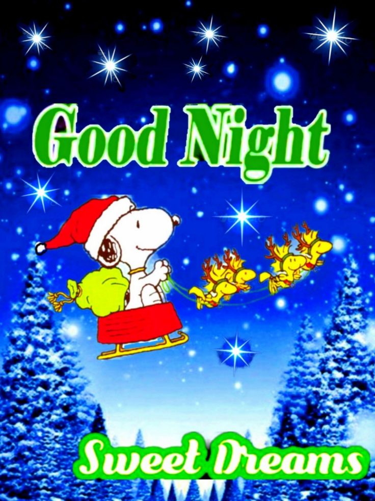 good-night  Snoopy pictures Christmas emoticons Goodnight snoopy