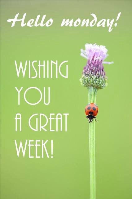 good morning Monday