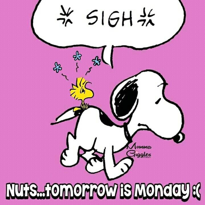 monday  Snoopy quotes Snoopy love Snoopy pictures