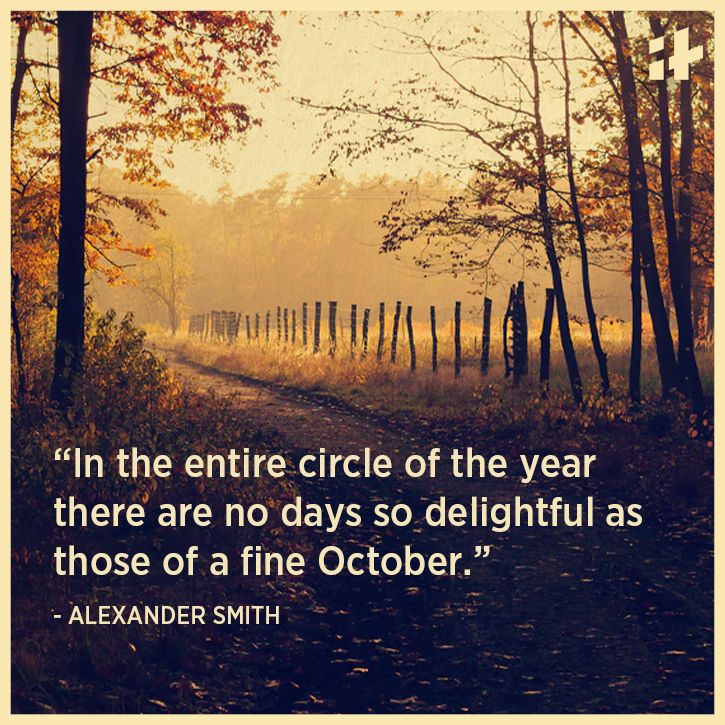 These Beautiful Lines Are Exactly Why Were In Love With October