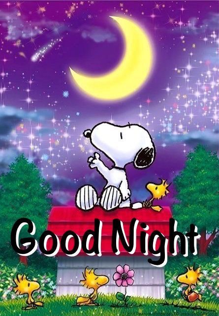 Snoopy Good Night snoopy good night pictures good night images snoopy good  night quotes  Goodnight snoopy Snoopy pictures Snoopy quotes