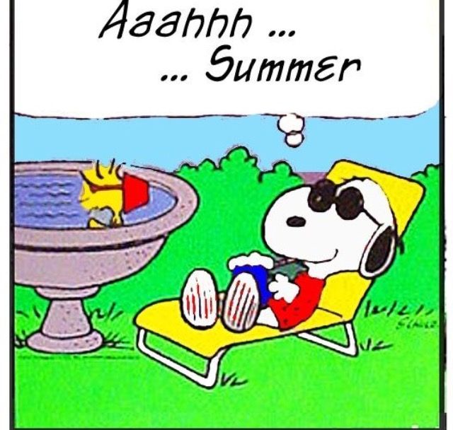 Solve AAAHHH ITS SUMMER CHARLIE BROWN 4 jigsaw puzzle online with 110  pieces