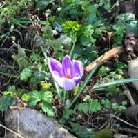 elaine.mcgovern68
