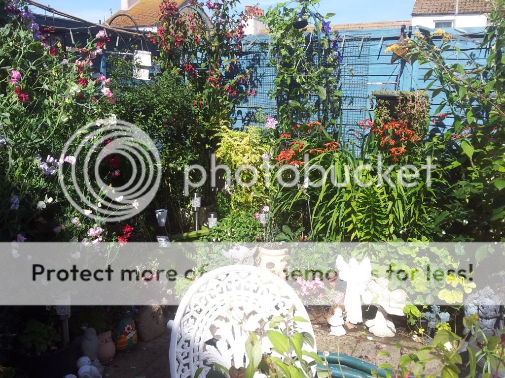 http://i1300.photobucket.com/albums/ag97/Bev_Pounsett-Krynauw/0220-08-13_zps2629bf67.jpg