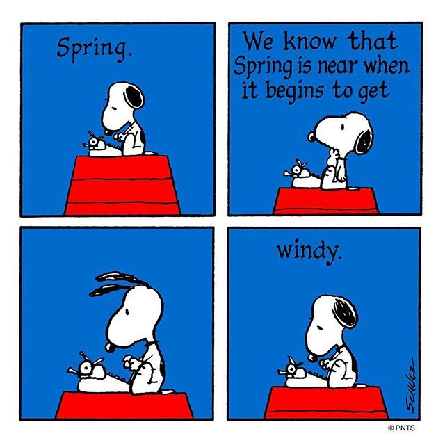 A Windy Day  Snoopy pictures Snoopy funny Snoopy comics