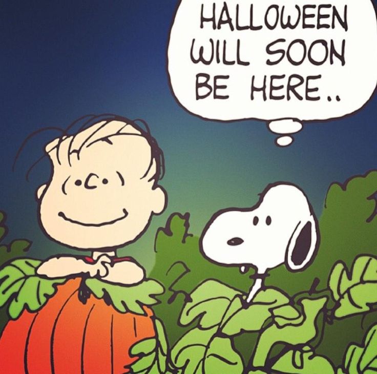 PEANUTS on Twitter  Snoopy Snoopy halloween Charlie brown halloween