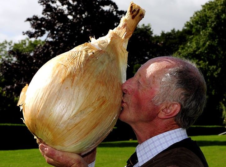 Pin on Giant Vegetables