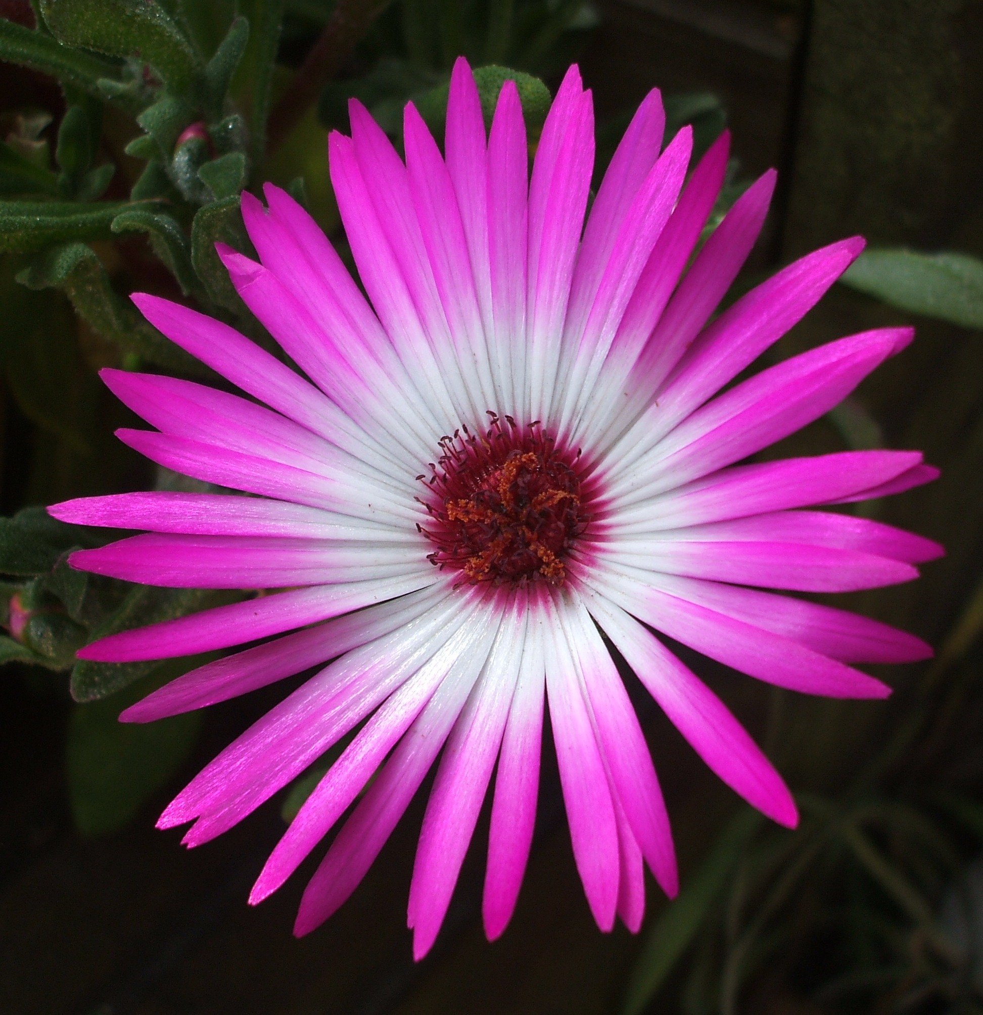 GardenersWork