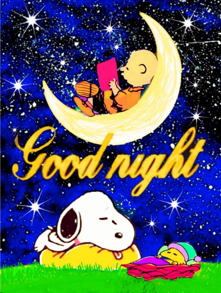 good-night  Goodnight snoopy Snoopy pictures Good night sweet  dreams