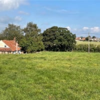 FledglingCottageGardener