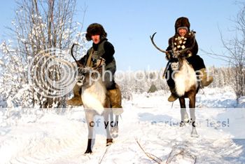 http://i1143.photobucket.com/albums/n627/thedogcody/4-boys-on-reindeer1.jpg