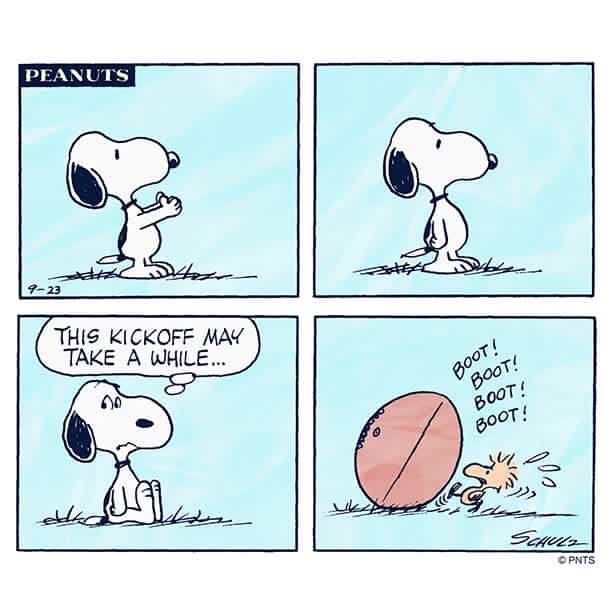 Pin by Jan T on Snoopy and Woodstock  Snoopy Snoopy comics Charlie brown  and snoopy