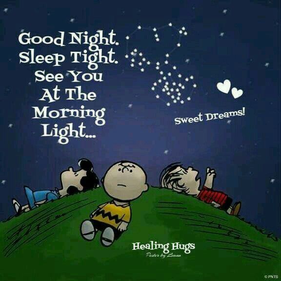 Pin by karen Wright on Snoopy new Stuf  Healing hugs Sleep hug Nighty  night