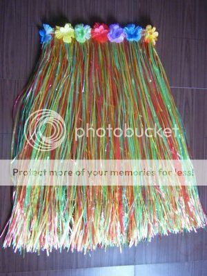 http://i1143.photobucket.com/albums/n627/thedogcody/Hula-Skirt_003.jpg