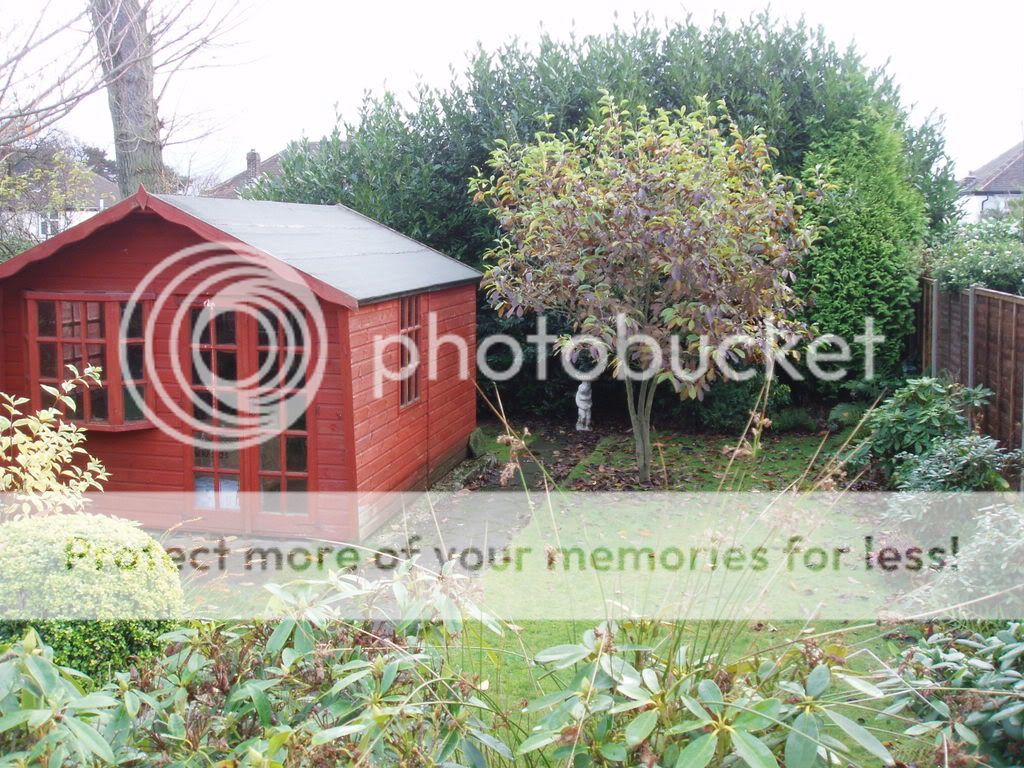 http://i232.photobucket.com/albums/ee192/thebear843/Garden/028.jpg