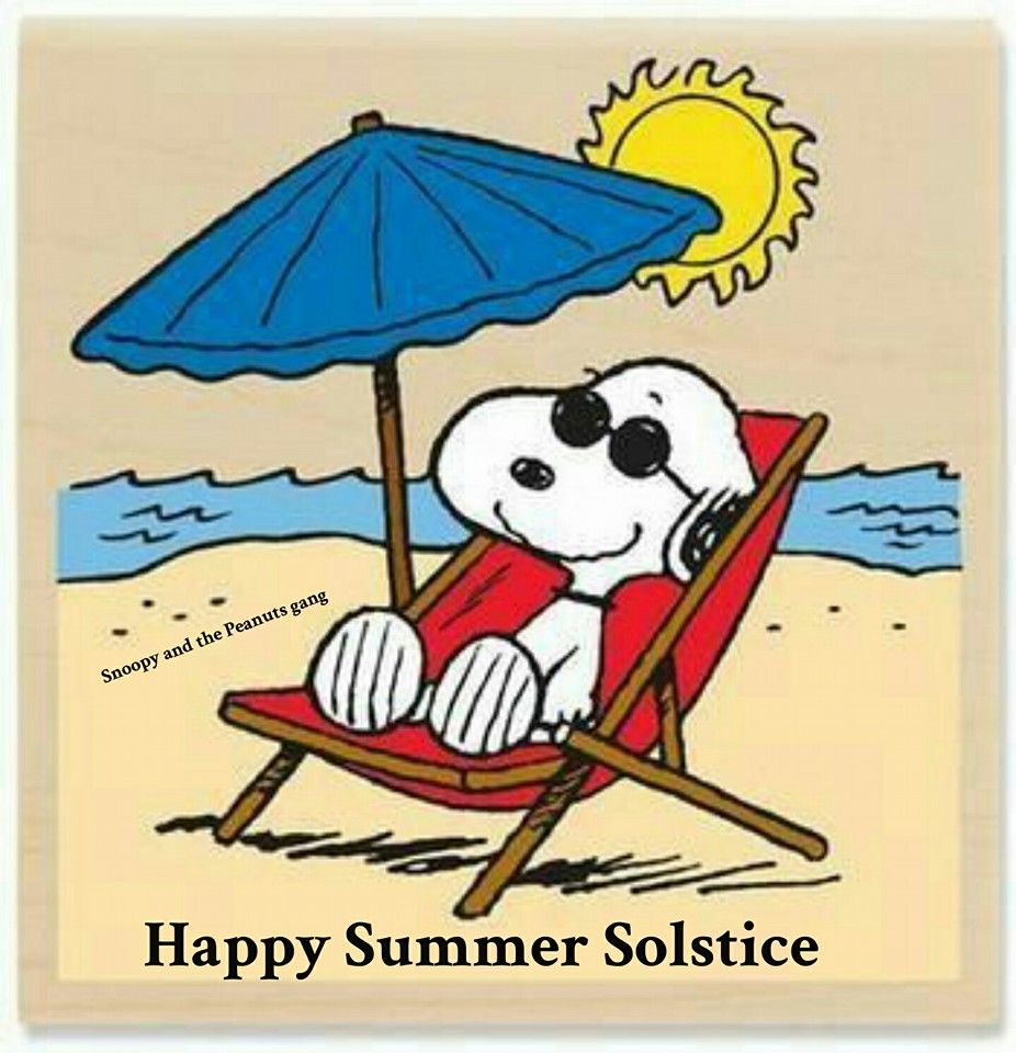 Snoopy and the Peanuts gang  Snoopy cartoon Snoopy pictures Snoopy