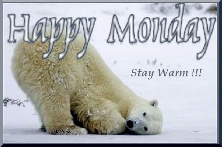 Happy cold Monday   Happy monday Happy monday morning Monday images