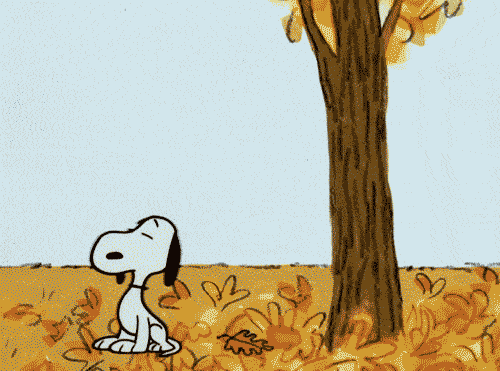 19 Gorgeous GIFs To Make You Delighted It39s Autumn  Snoopy Snoopy and  woodstock Charlie brown and snoopy