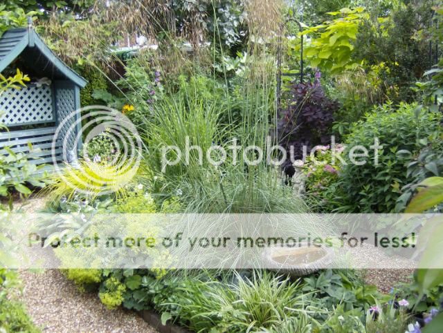 http://i1131.photobucket.com/albums/m551/lilylouise1/garden035.jpg