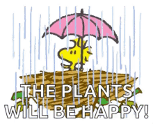 Rainy Friday GIFs  Tenor