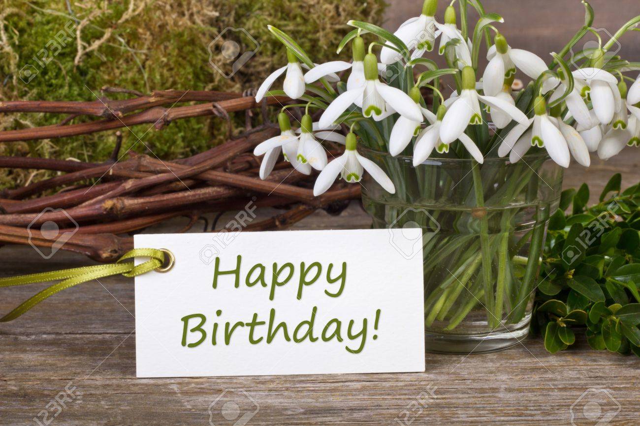 http://previews.123rf.com/images/coramueller/coramueller1303/coramueller130300091/18404690-snowdrops-twigs-and-card-with-lettering-Happy-Birthday-Stock-Photo.jpg
