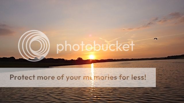 http://i27.photobucket.com/albums/c186/DavidKnapper/4e72d75f-088b-48f4-b6c3-bcd18e60e1be_zpsiisxt3lv.jpg