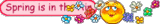 http://yoursmiles.org/tsmile/spring/t117009.gif