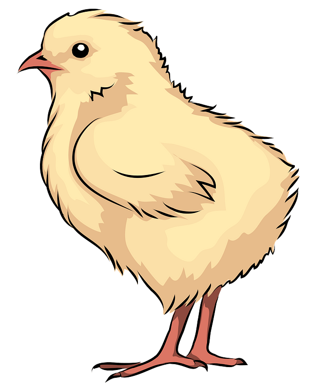 Image result for Chick clip art