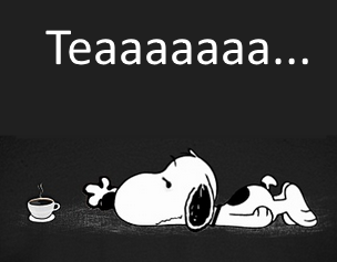900 Snoopy ideas  snoopy snoopy love charlie brown and snoopy