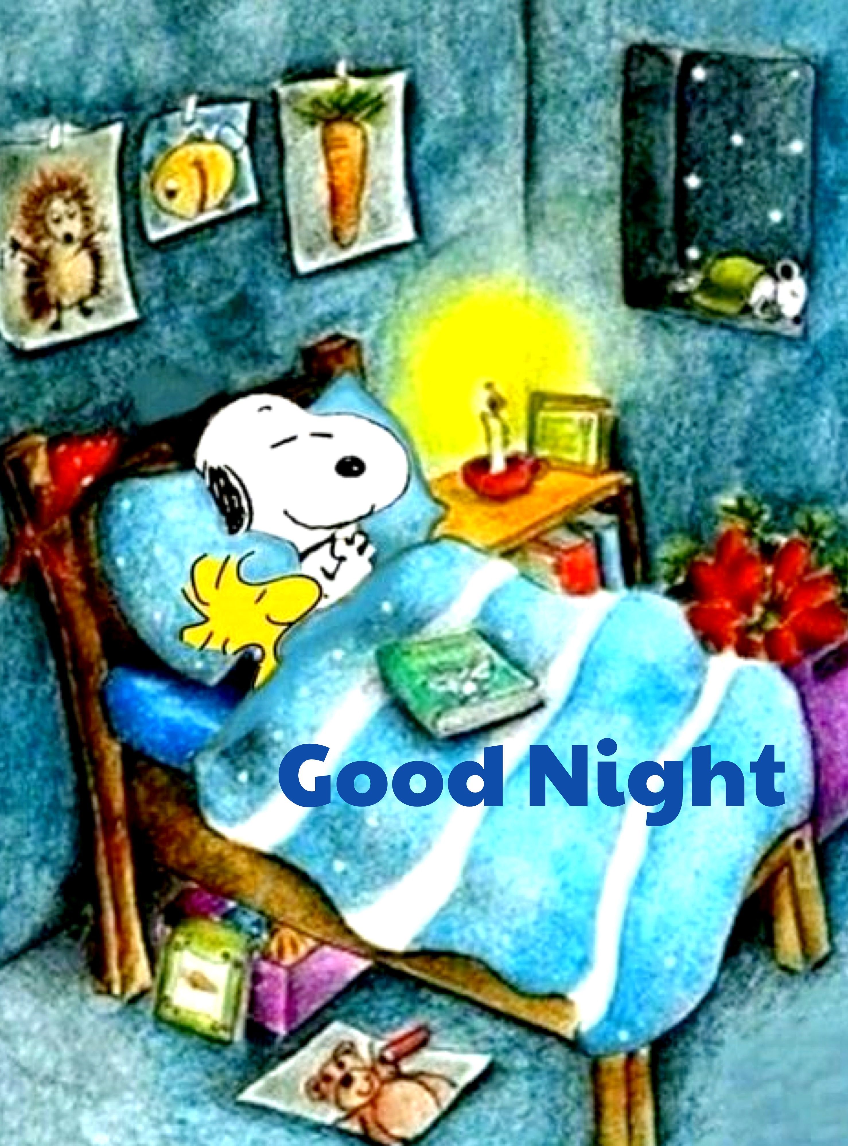 Pin by C R on CHARLIE BROWN AND SNOOPY  Goodnight snoopy Snoopy pictures  Snoopy