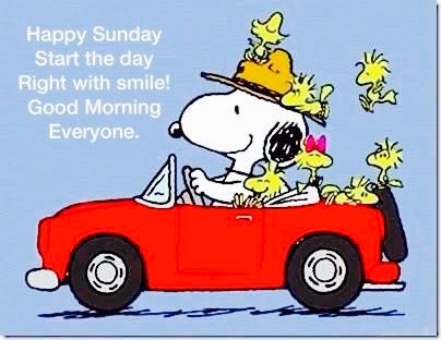 Happy Sunday Start the day right with a smile Good morning everyone  Snoopy and friends in a car out for a Su  Good morning snoopy Snoopy  quotes Snoopy love