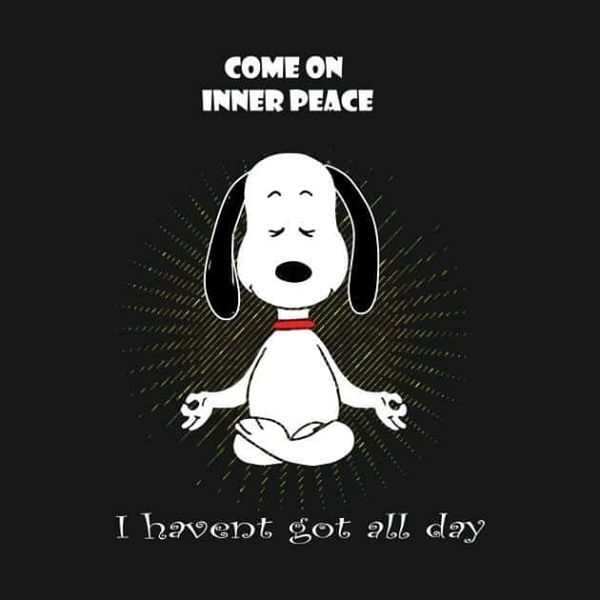 Chasity D Simpsons photo  Snoopy funny Peanuts snoopy quotes Snoopy  pictures