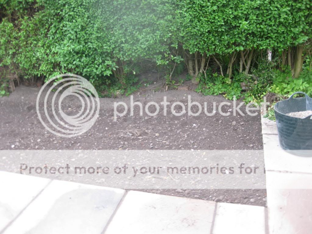 http://i1187.photobucket.com/albums/z383/kt_j63/IMG_5856.jpg