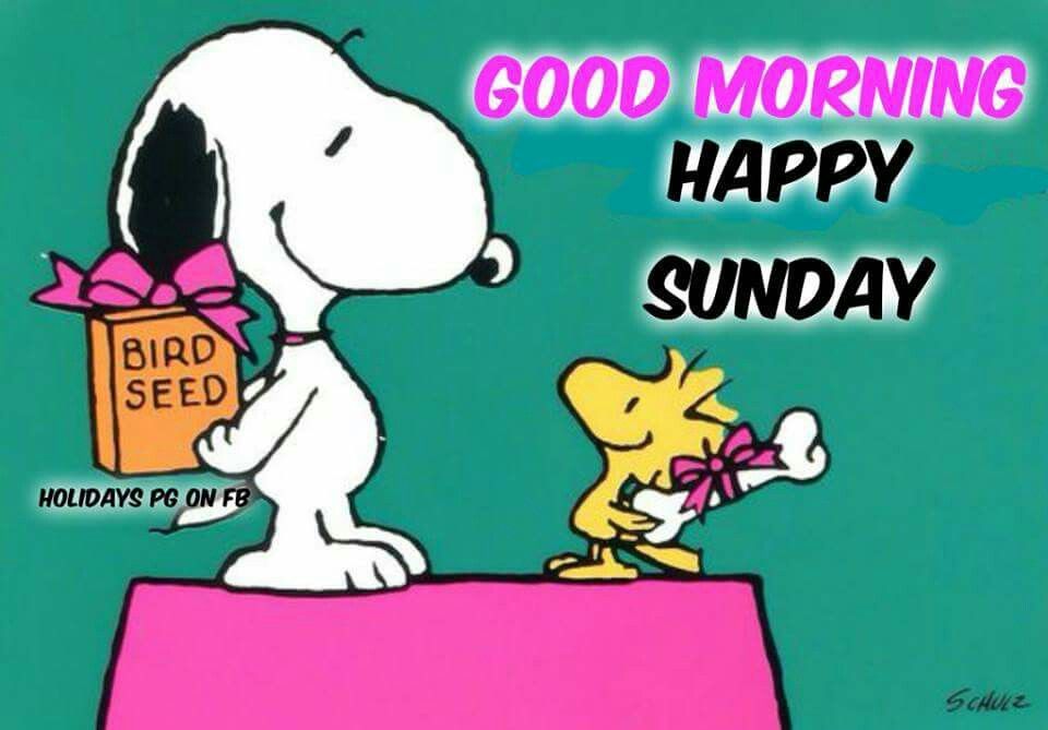 Good Morning - Happy Sunday - Snoopy Giving Woodstock a Box of the Birdseed  and Woodstock Giving Snoo  Good morning happy sunday Happy sunday Good morning  happy