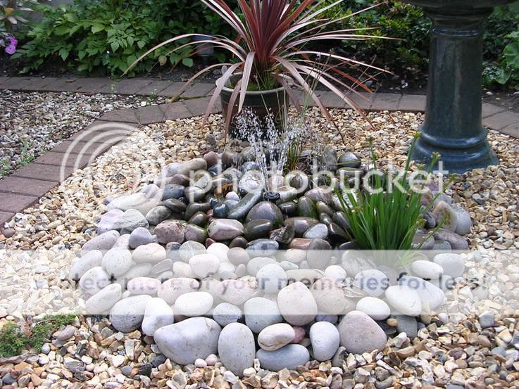 http://i27.photobucket.com/albums/c186/DavidKnapper/DSCN0132.jpg