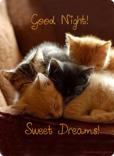 Image result for Good night friends
