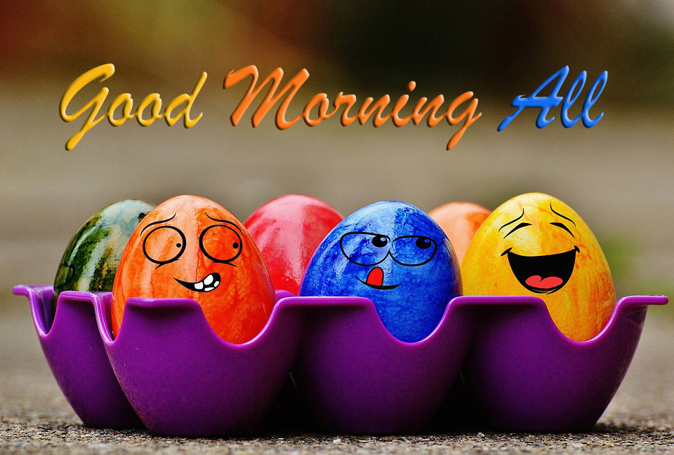 Funny Good Morning All - Good Morning Images Quotes Wishes