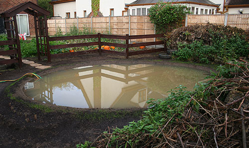 http://www.herpetofauna.co.uk/forum/uploads/21750/Pond_30_September_04.jpg