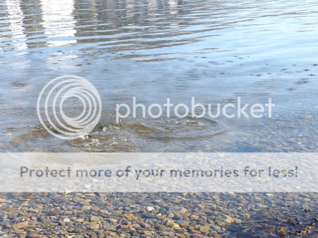 http://i1331.photobucket.com/albums/w595/fairygirl55/DSCF0681_zpsh4nlc0ea.jpg
